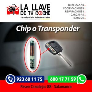 chip,transponder
