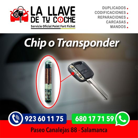 chip,transponder