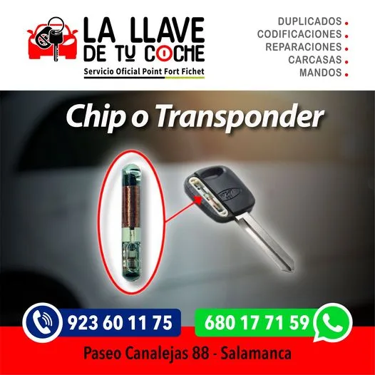 chip,transponder