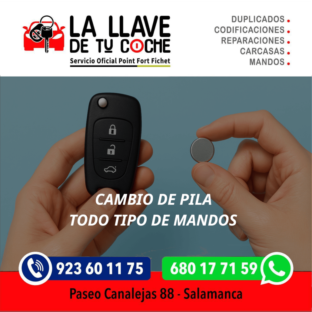 cambio de pilas todo tipo de mandos en salamanca